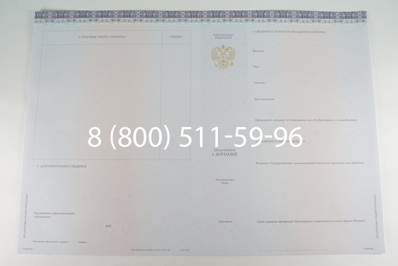 Диплом бакалавра (Киржач) 2014-2024 года в Вологде