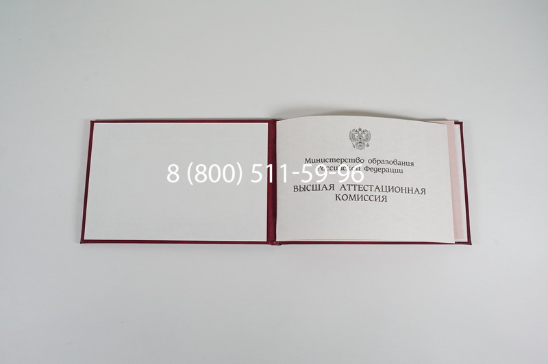 Диплом доктора наук 1995-2006 года в Вологде Диплом доктора наук 1995-2006 года в Вологде